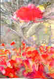 Flowers and Still Life